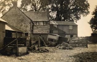 Low Farm in the 1930s Article Photo - The farmyard at the rear of Low Farm farmhouse