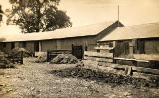 Low Farm in the 1930s Article Photo - The barns on the opposite side of the yard