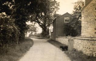 Low Farm in the 1930s Article Photo - A closer view of the farmhouse from Low Road, with the family’s pet dog Micky