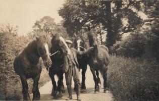 Low Farm in the 1930s Article Photo - Working horses at Low Farm