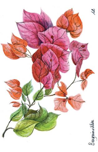 Charity Christmas Cards For Sale Article Photo - Card Design 8: “Bougainvillea”