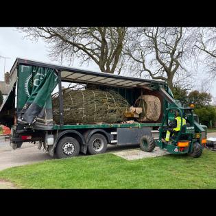 Two New Trees for Cuddington Article Photo - 