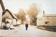 Banner Photo - The crossroads at the Upper Green facing south into Dadbrook.  The trees were later cut down to build Hillside Cottages and other houses.  In the distance is the brick wall in front of the witchert-built Baptist Chapel, which fell down in 1993. -  1288531514.jpg