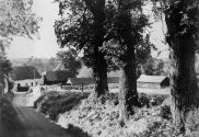 Banner Photo - Spicketts Lane photographed in the 1960s before the trees were destroyed by Dutch elm disease.  Lower Farm House can be seen at the end of the lane. -  1288531596.jpg