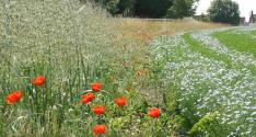 Banner Photo -  -  1319641299.jpg