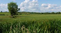 Banner Photo -  -  1319641355.jpg