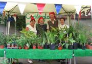 Banner Photo - 2009 – Gnomes at Home -  1325338845.jpg