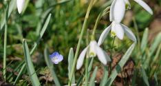 Banner Photo -  -  1330466525.jpg