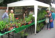 Banner Photo -  -  1472984395.jpg
