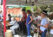 Banner Photo -  -  1472984675.jpg