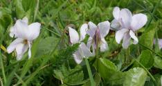 Banner Photo -  -  1524916800.jpg